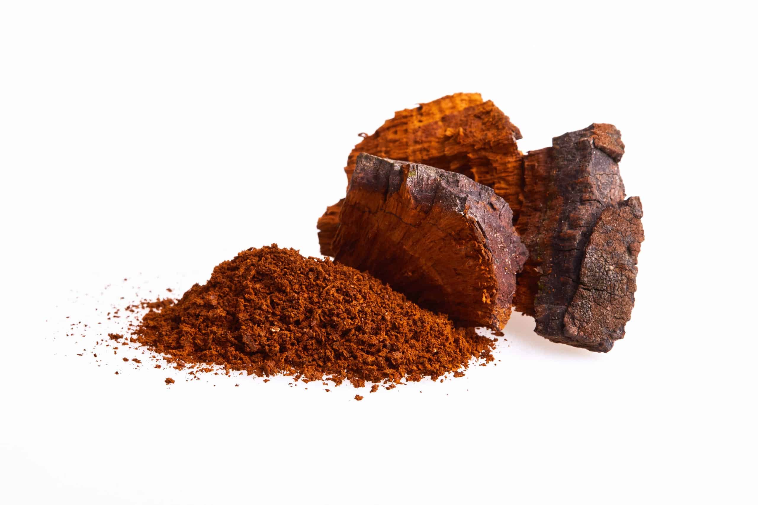 Chaga Vitalpilz